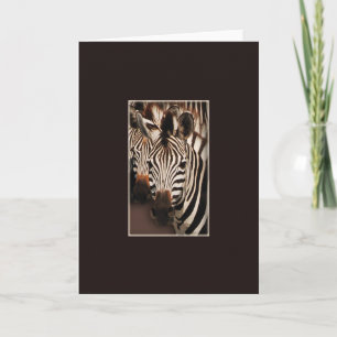 Tarjetas de bienvenida de safari de cebra