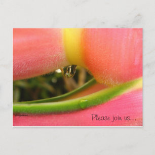 Tarjetas de boda de fecha para guardar HeliconiaTr