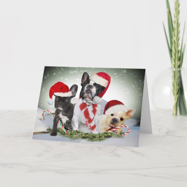 Tarjetas de Bulldog Francés Deja que nieve (Anverso)