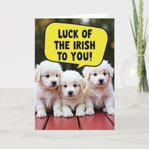Tarjetas de cachorros irlandeses afortunados y ado