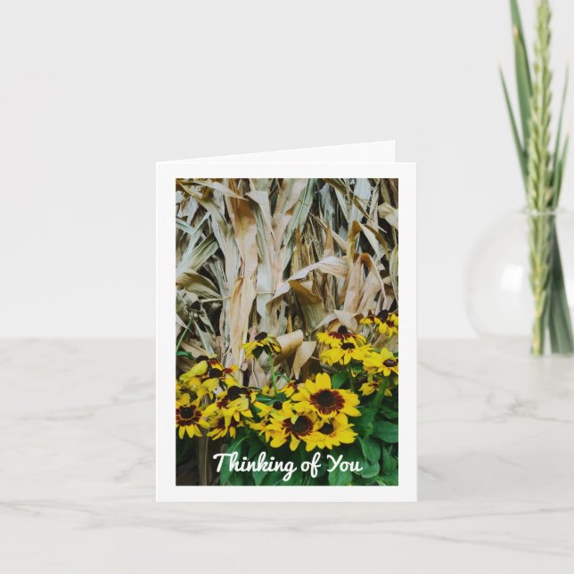 TARJETAS DE CAÍDA PENSANDO EN TUS NOTAS EN BLANCO (Anverso)