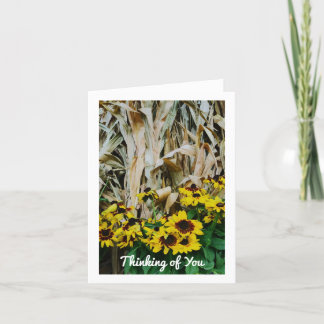 TARJETAS DE CAÍDA PENSANDO EN TUS NOTAS EN BLANCO