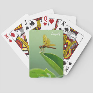 Tarjetas de cartas de libélula naranja