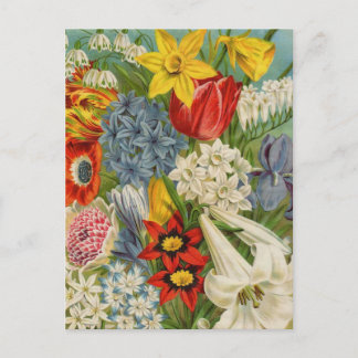 Tarjetas de catálogo de paquetes de semillas de ép