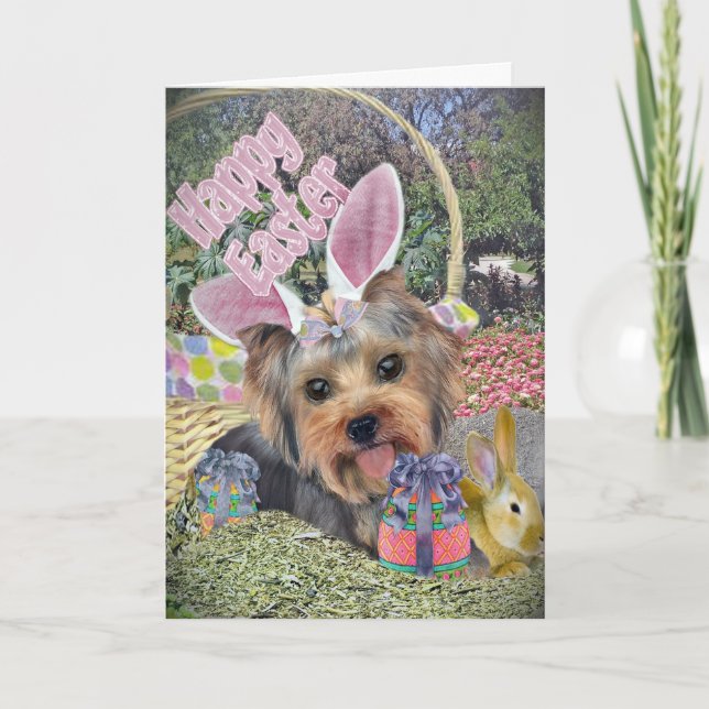 Tarjetas de caza de huevos de Pascua Yorkie (Anverso)