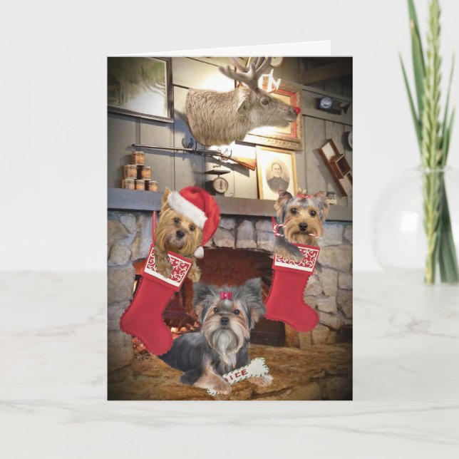 Tarjetas de chimenea de los Navidades Yorkie (Anverso)