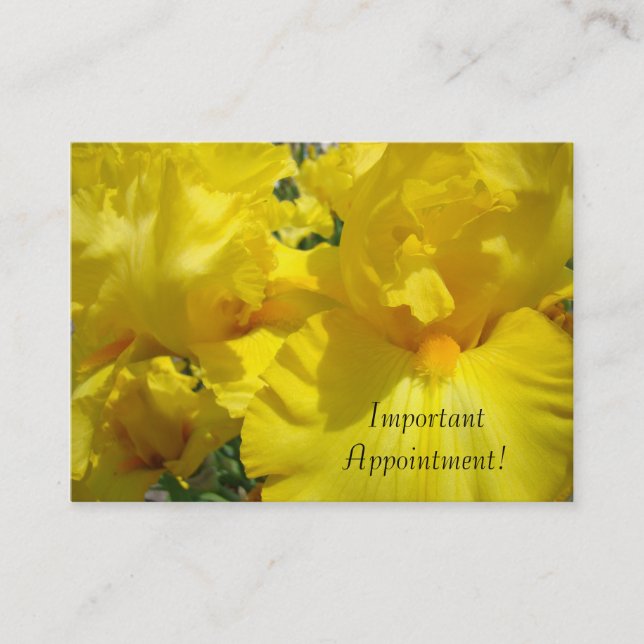 Tarjetas de Cita Importante! tarjetas personalizad (Anverso)