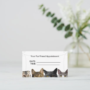Tarjetas de cita para empresas de grupos de gatos