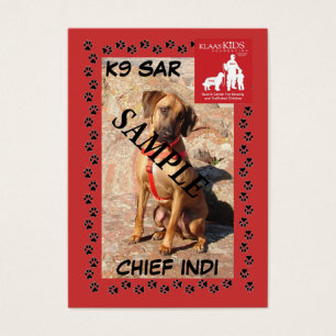 Tarjetas de comercio del SAR K9 (el arrastrarse)