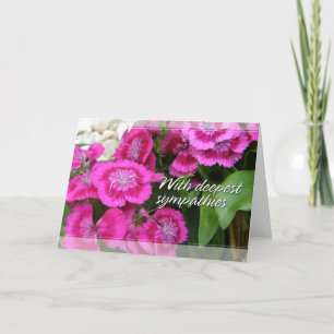 Tarjetas de condolencia dulces de Williams