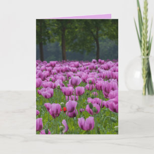 TARJETAS DE CONDOLENCIAS DE SÍNTOMA DE TULIPS PURP
