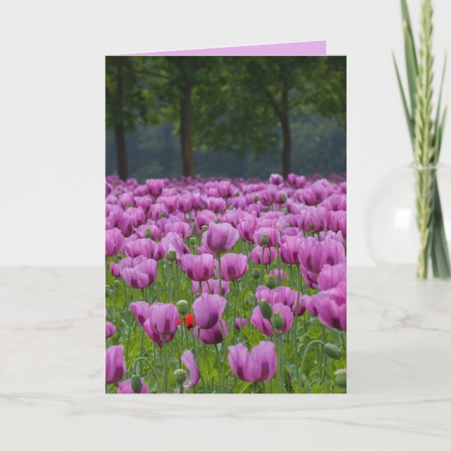 TARJETAS DE CONDOLENCIAS Y SIMPATÍA DE TULIPANES P (Anverso)
