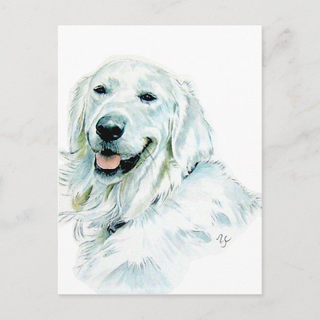 Tarjetas de correo de Golden Retriever en inglés (Anverso)