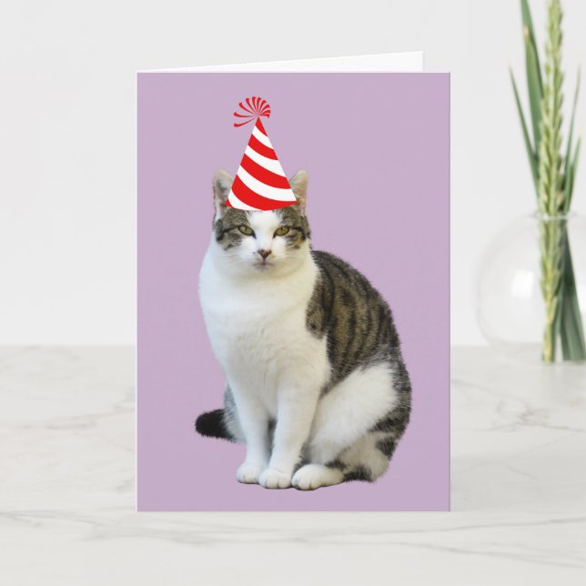 TARJETAS DE CUADRO DE CUMPLEAÑOS DE FOTO DE CAT (Anverso)