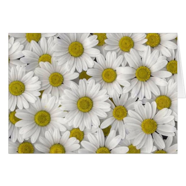 Tarjetas de cumpleaños (Anverso (Horizontal))