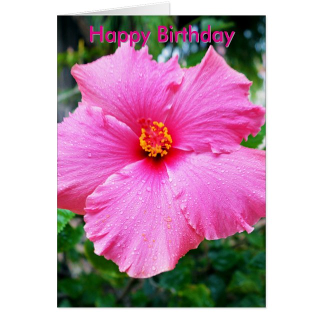 Tarjetas de cumpleaños con flores de Hibisco rosa  (Frente)