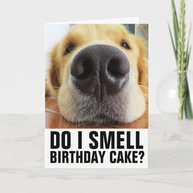 TARJETAS DE CUMPLEAÑOS DE CIERRE DE PERROS DIVERSO (Anverso)