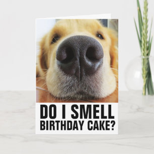 TARJETAS DE CUMPLEAÑOS DE CIERRE DE PERROS DIVERSO