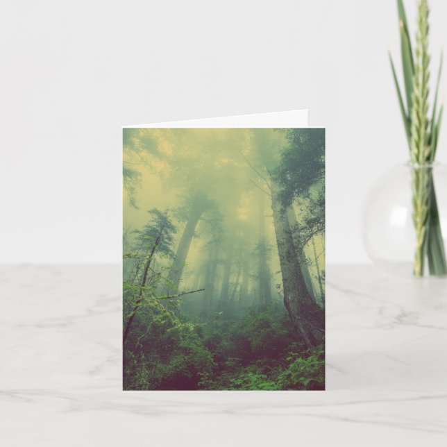 TARJETAS DE CUMPLEAÑOS DE FOTOGRAFÍA FORESTAL (Anverso)
