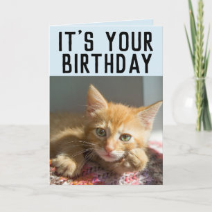 TARJETAS DE CUMPLEAÑOS DE GATITO GATO ROJO ADORABL