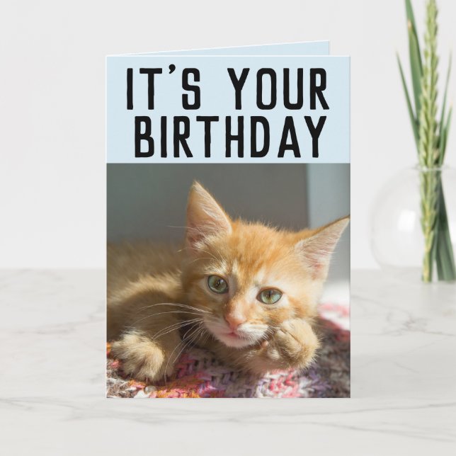 TARJETAS DE CUMPLEAÑOS DE GATITO GATO ROJO ADORABL (Anverso)