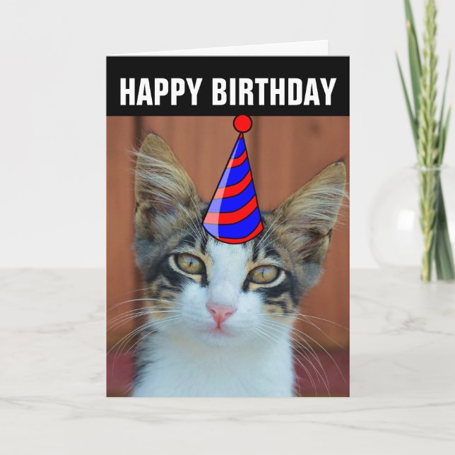 TARJETAS DE CUMPLEAÑOS DE GATO ADORABLE (Anverso)