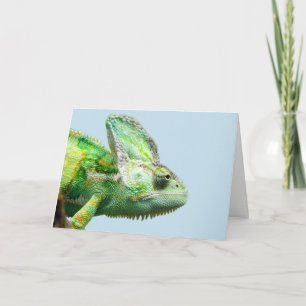 TARJETAS DE CUMPLEAÑOS DE IGUANA