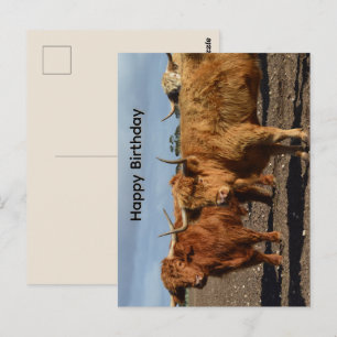 Tarjetas de cumpleaños de vacas Highland Brown gra