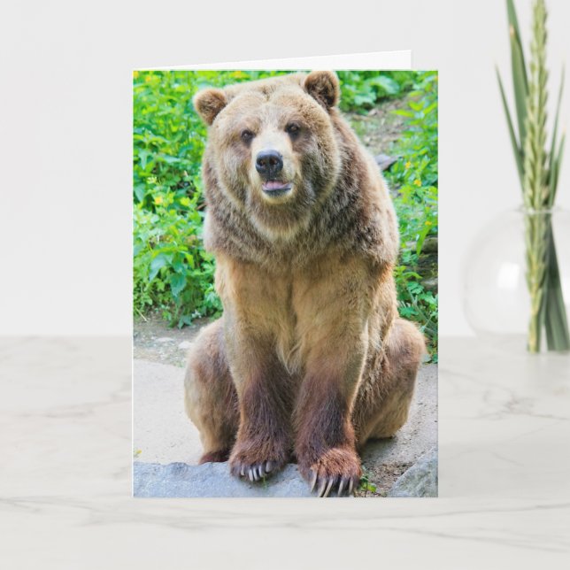TARJETAS DE CUMPLEAÑOS DIVERTIDAS DE OSO GRIZO (Anverso)