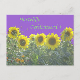 Tarjetas de cumpleaños felices girasoles en holand