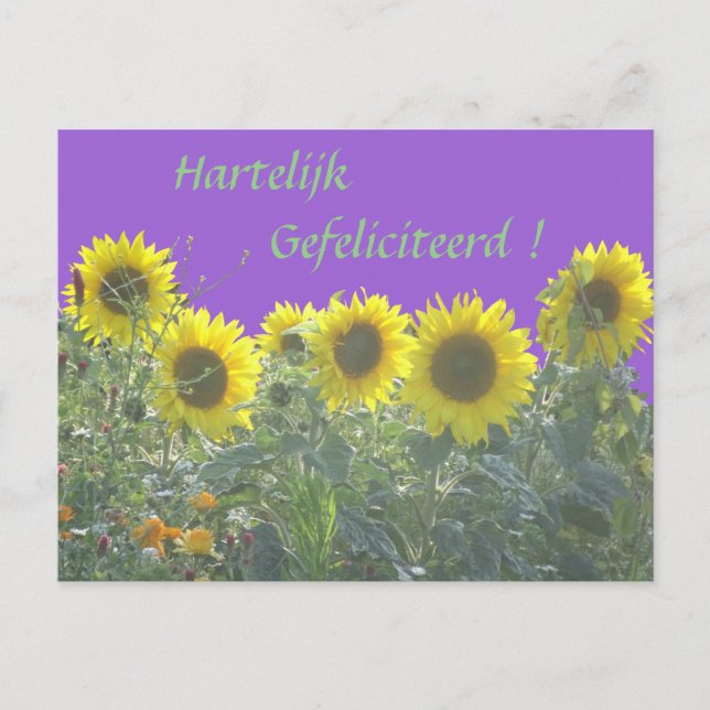 Tarjetas de cumpleaños felices girasoles en holand (Anverso)