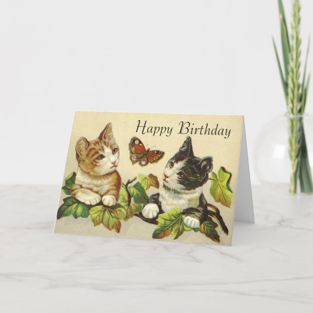 Tarjetas de cumpleaños felices - Kittys (Anverso)