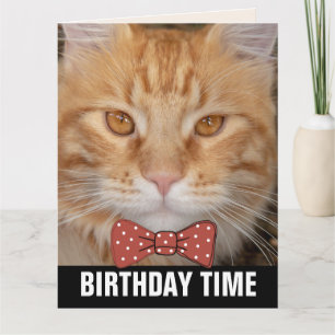 TARJETAS DE CUMPLEAÑOS GINGER RED CAT bowtie