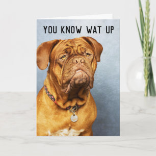 TARJETAS DE CUMPLEAÑOS MASTIFF DOG FUNNY