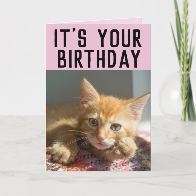 TARJETAS DE CUMPLEAÑOS PARA CHICAS CUTE GINGER CAT (Anverso)