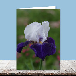 Tarjetas de cumpleaños religiosas — Iris púrpura