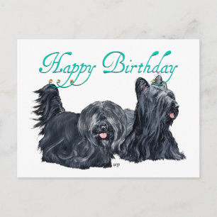 Tarjetas de cumpleaños Skye Terrier