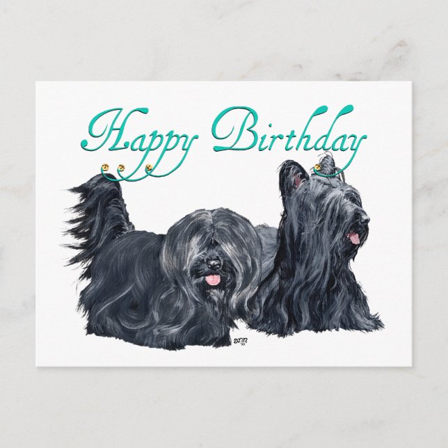 Tarjetas de cumpleaños Skye Terrier (Anverso)