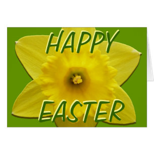 Tarjetas de Daffodil Tarjetas de Flor Daffodil Per