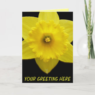 Tarjetas de Daffodil Tarjetas de Flor Daffodil Per