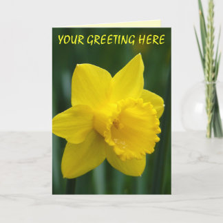 Tarjetas de Daffodil Tarjetas de Flor Daffodil Per