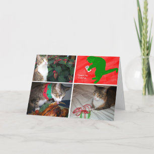 Tarjetas de EMMA MBX5