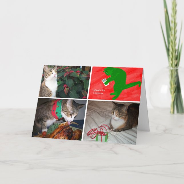 Tarjetas de EMMA MBX5 (Anverso)