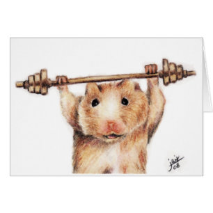 Tarjetas de entrenamiento (Hamster)