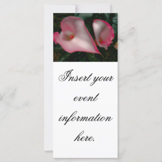 Tarjetas de estante de Lirio Calla