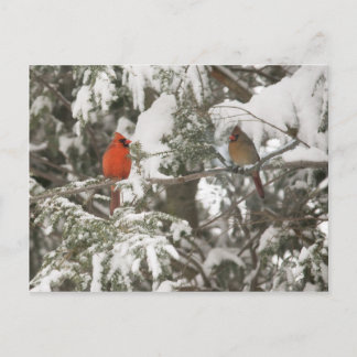 Tarjetas de felicitación