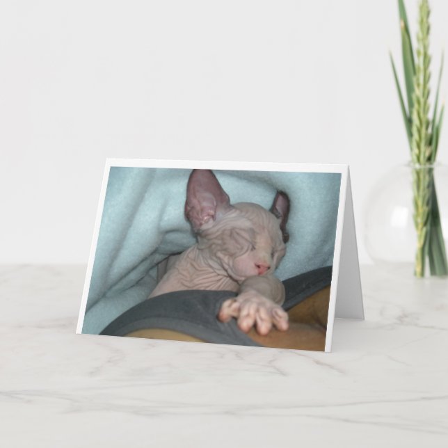 Tarjetas de felicitación (Anverso)