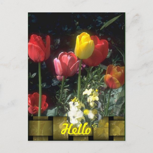 Tarjetas de felicitación (Anverso)