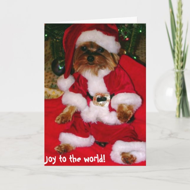 Tarjetas de felicitación (Anverso)