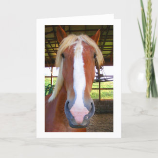 Tarjetas de felicitación belgas